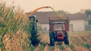Insilato mais 2016 | Az. Agr. Cagnin [Speciale 100° video]