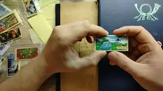 Жевательная резинка: Pokemon The First Movie - коллекция в долгий чуланчик #PaxToy