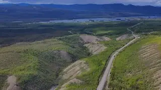 Yukon&rsquo;s Fox Lake Burn A Forest&rsquo;s Journey from Fire to Life&rdquo; #klondike