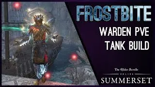 Warden Tank Build PvE 