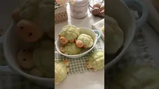𝑇𝑢𝑟𝑡𝑙𝑒 𝑀𝑒𝑙𝑜𝑛 𝑃𝑎𝑛 🍈🐢 #homecafe