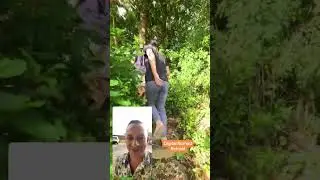 Digital Nomad Wellness Retreat at Selina Monteverde