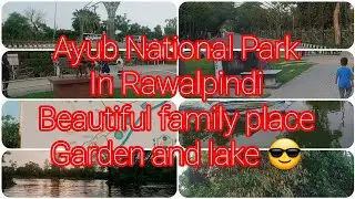 Exploring Ayub National Park: A Hidden Gem in Rawalpindi | Travel Guide 2024 #AyubNationalPark