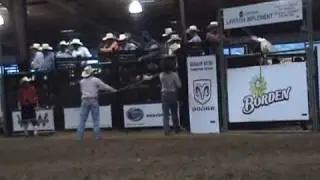 Lyndal Hurst Mooseknuckle Bull 4