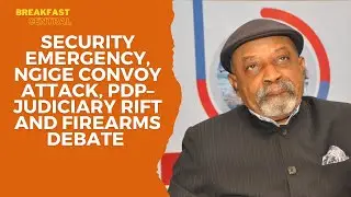 Security Emergency, Ngige Convoy Attack, PDP&ndash;Judiciary Rift and Firearms Debate