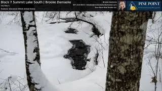 388 Acres of Prime Northern Wisconsin Hunting Land with Cold Water Stream for Sale | Brooke Damaske