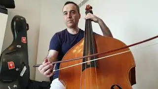 Mozart - The Magic Flute, Overture - Double Bass excerpt