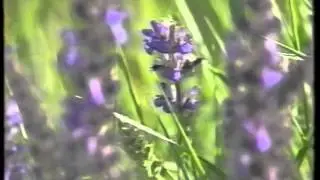 Земля Виктора Шпанагеля, фильм снят ВГТРК Оренбург, 1998 г