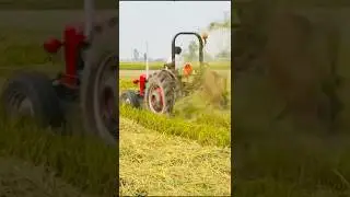 Futterverteilung auf dem Feld mit einem alten Traktor #usatractor #americanfarming #oldtractors