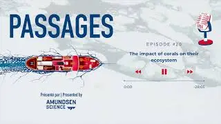 Episode #20 - The impact of coral on their ecosystem