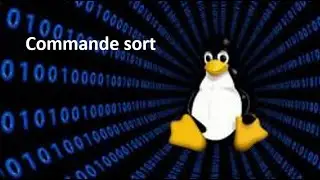Utilisation de la Commande 