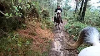 GALOPANDO EN INVIERNO POR UN SENDERO EN EL BOSQUE . El último se come el barro.   #equitación