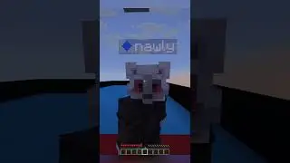 Insane Minecraft 1V1!