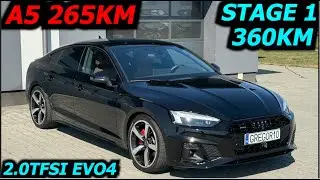 Audi A5 360 км 2.0 TFSI EVO4 STAGE 1 DPAA (265 л.с. в стоке) GREGOR10 ChipTuning DL382