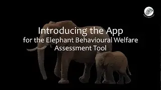 Introducing the Android App of the Elephant Behavioural Welfare Assessment Tool