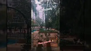 First rain of 2025 in Bengaluru 🌧 😍 Soothing weather on the weekend 😌😇😶&zwj;🌫️ 🏙