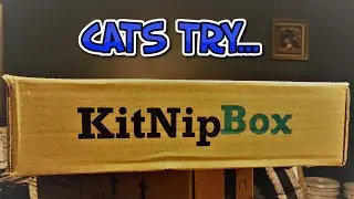 CATS REVIEW KITNIP BOX!!! | CAT SUBSCRIPTION BOX