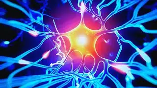 Skin, Hair & Body Meridian Energy Activation &ndash; Frequencies for Energetic Support & Renewal