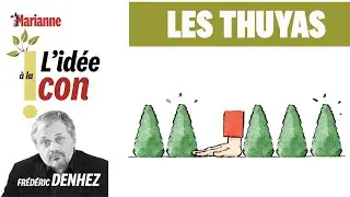 L'idée à la con : les thuyas