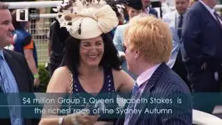 The Sydney Autumn Racing Carnival │AR graphics powered by stYpe
