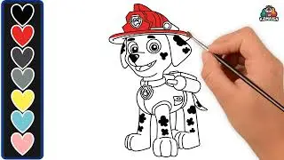 How to Draw Marshall from PAW Patrol | Easy Drawing for Kids | KidMaven