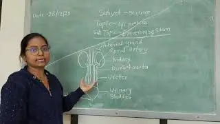 Method:- Science, Topic:- Excretory system , by FYBEd student Priyanka Tripathi 