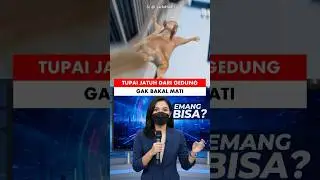 TUPAI JATUH DARI GEDUNG GABAKAL MATI‼️ #shorts #facts #animation #viral