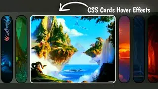 CSS Responsive Card Hover Effects  | How to Create CSS Card Hover Effect CodeXNinja