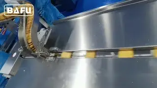 biscuit packaging machine,cookies packaging machine,cracker packaging machine,flow wrapper,flow-pack