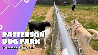 Patterson Dog Park | Patterson, California