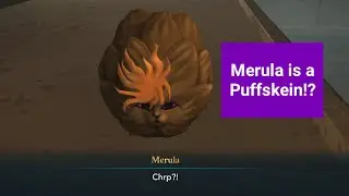 Welcome to the Sphinx Club I Puffskein Merula is cute (No Commentary)