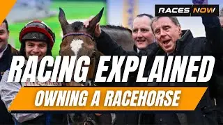 Owning A Racehorse | Horse Racing Explained