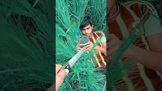Desi 💥Creativity || With Knife Photo📸Shoot Idea || #short