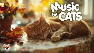 Classical music for Cats [study / focus / meditate / purr]
