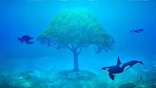 Land of Forever - Sea of Dreams