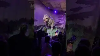 Animatronic Tyranosaurus Rex (T-Rex) Dinosaur
