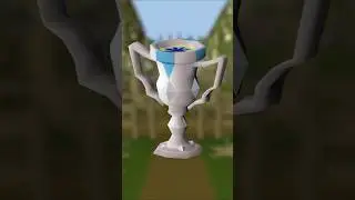 This is the RAREST item in Runescape