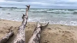 Cornish beach walk