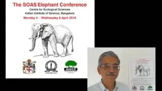 Knowledge of the elephant since ancient times, Elephant Conference 2016, SOAS University of London
