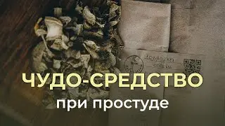 Сироп девясила: помощь при бронхите и упадке сил. Живу-лесом.рф