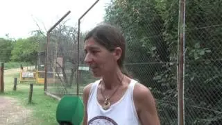 KAI PACHA   TEMPORADA DE VERANO