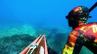 Impetus Spearfishing - Malta 2021