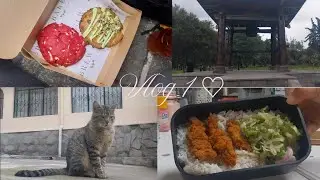 VLOG 1 - Tareas del hogar, cocinando y probando crumblr cookies 🥰🍪🫶