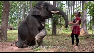 Primitive Life Video - Forest girl living with elephant in forest