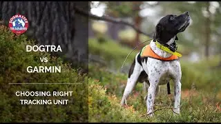 Dogtra vs Garmin. Choosing right product for your dog. Brand Comparison.