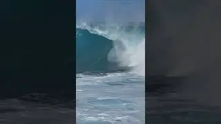 Nathan Florence CRAZY BACKDOOR Wave