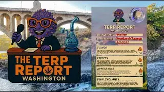 Royal Tree - Sweatband x Topenga | Terp Report Washington