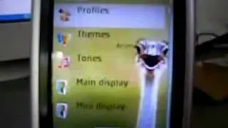 Re: Nokia 6131 - Grey theme