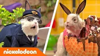 Die Thundermans | Das Beste von Dr. Colosso Teil 2! 🐇 | Nickelodeon Deutschland