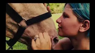 2017 EQUUS Film Festival Highlights